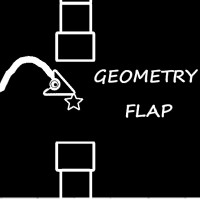Geometry Flap