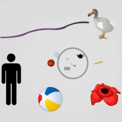 Scale Of The Universe